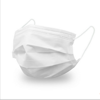 Disposable adult mask