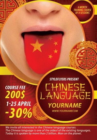 Offline Chinese Course 1 Year in Europe