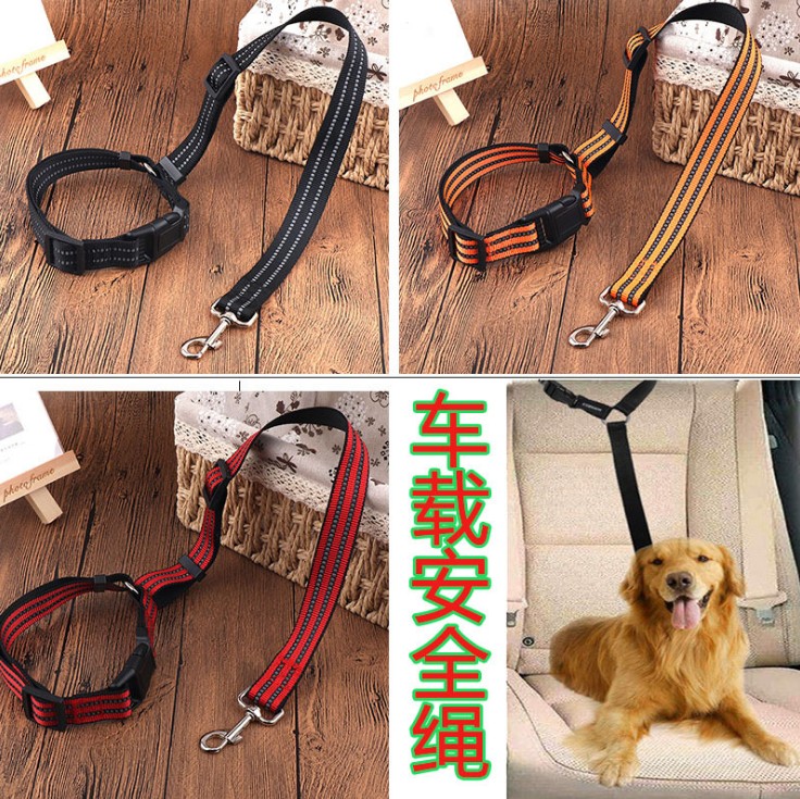 Pet Car Rope